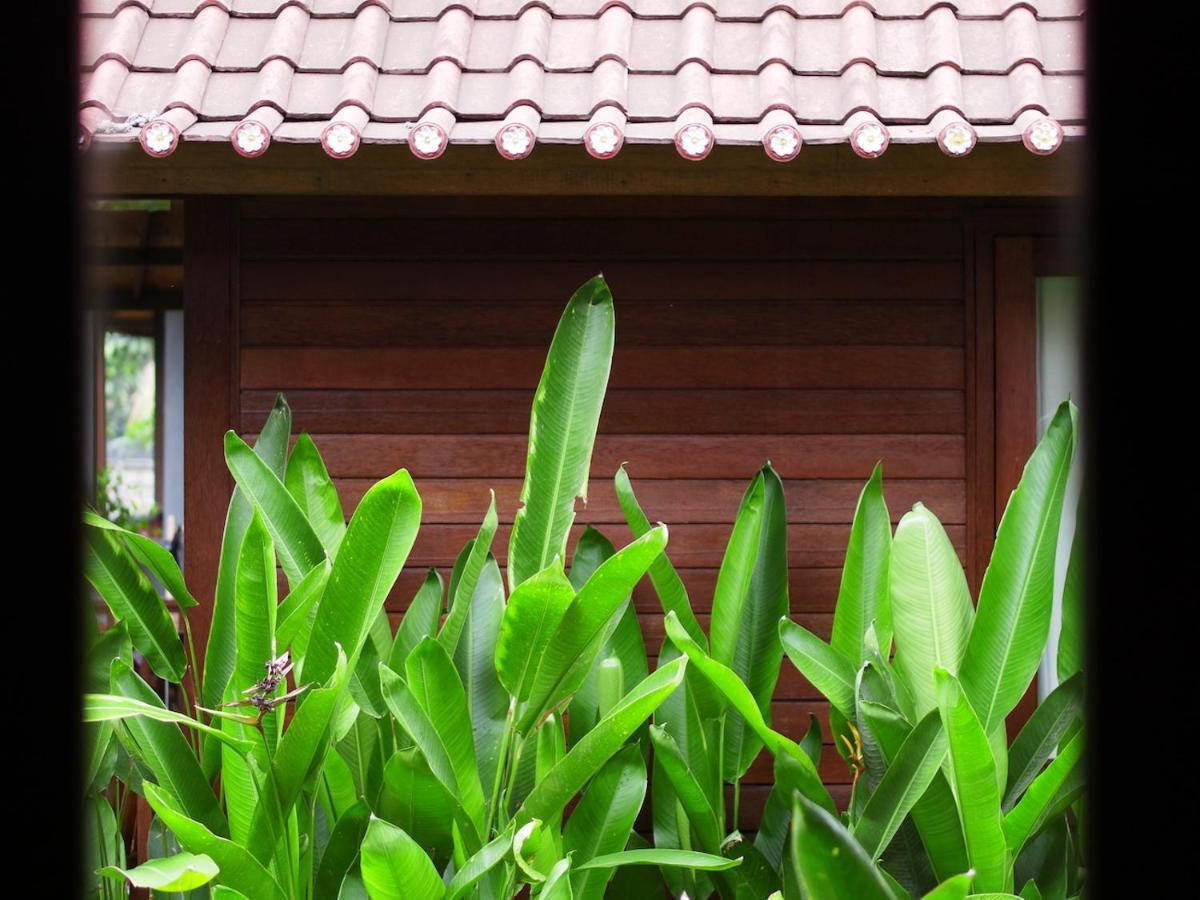 Nyoman Guesthouse And Grill Нуса-Лембонган Экстерьер фото